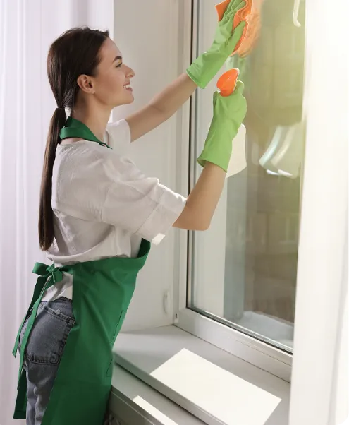 Cleaner washing a window