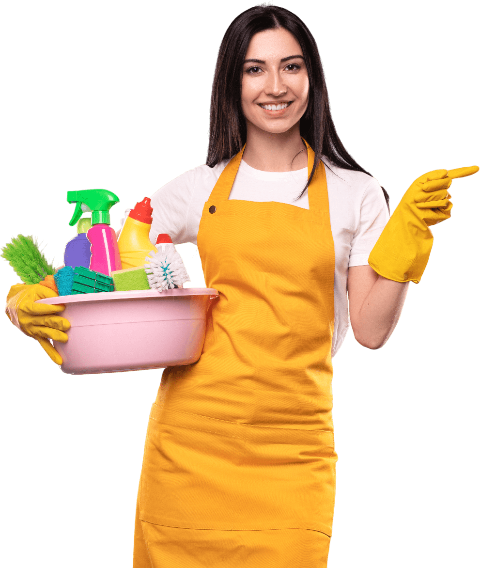 Cleaning Professional