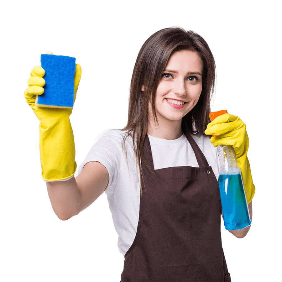Sofa cleaning